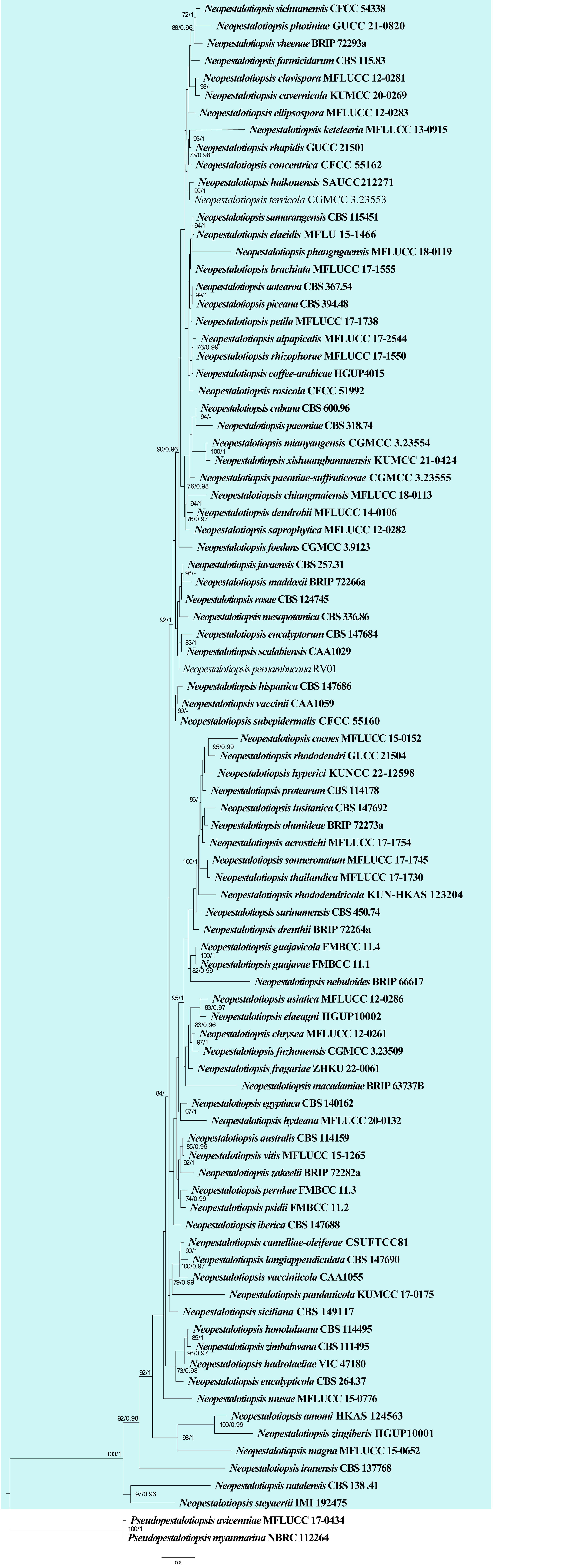 Figure 20